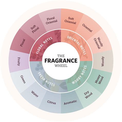 how to identify fragrances